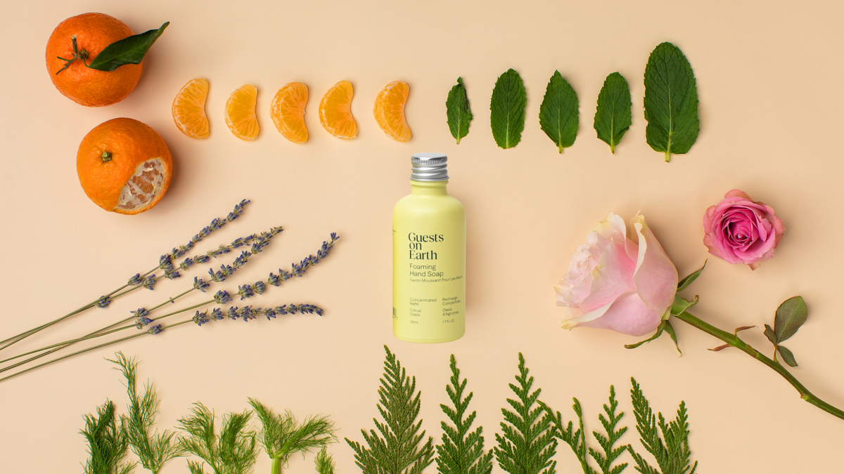 Guests on Earth All-Purpose Cleaner, Citrus Oasis product detail